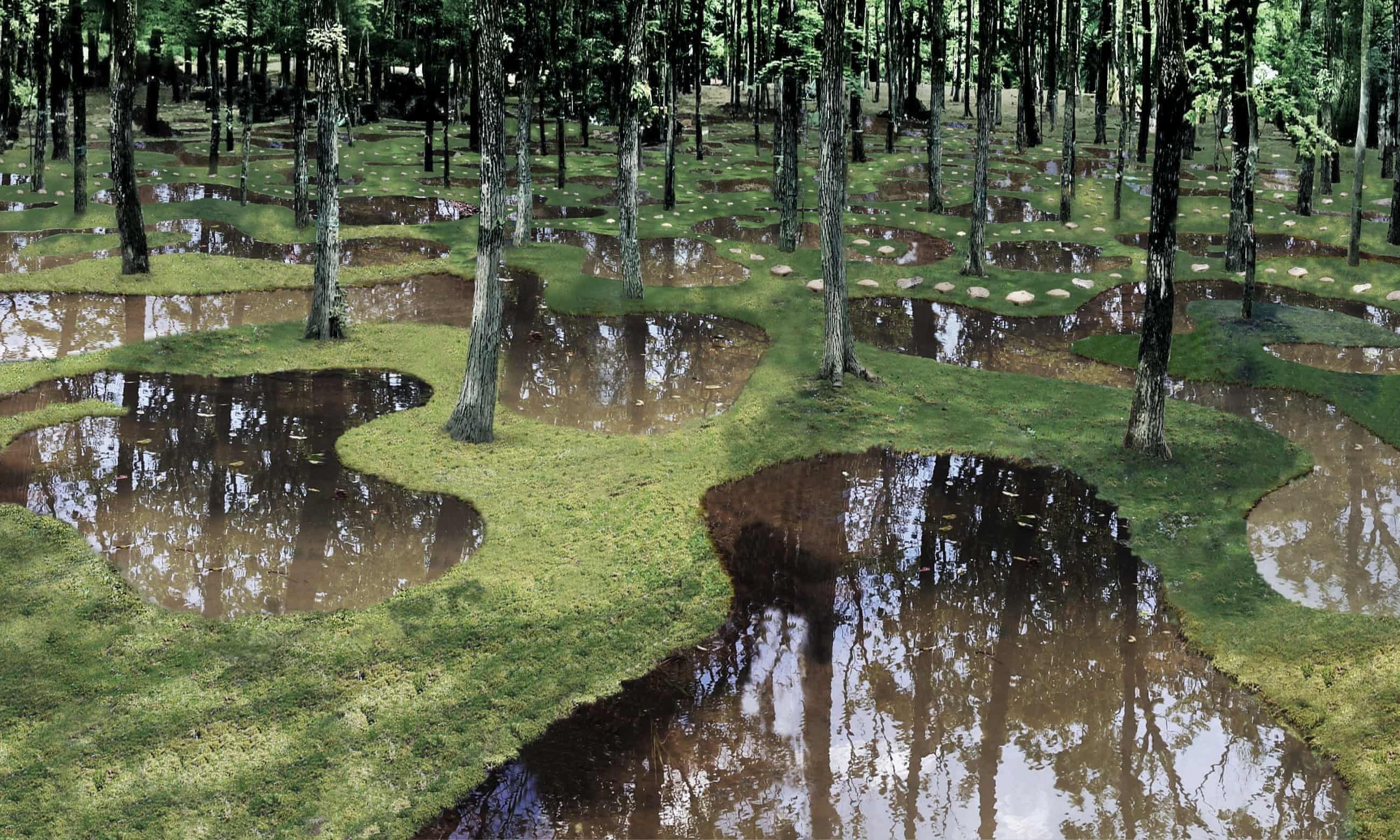 🏞️ 미야히토 강 생태공원(미야히토가와 비오토프) 이미지 3